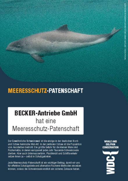 Urkunde der Meeresschutz-Patenschaft der Becker-Antriebe GmbH