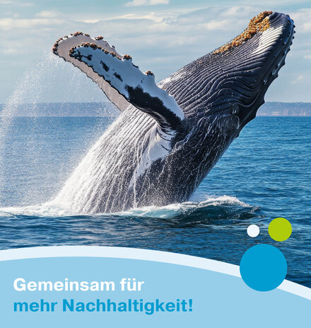 Bild mit Wal zur Nachhaltigkeitsaktion