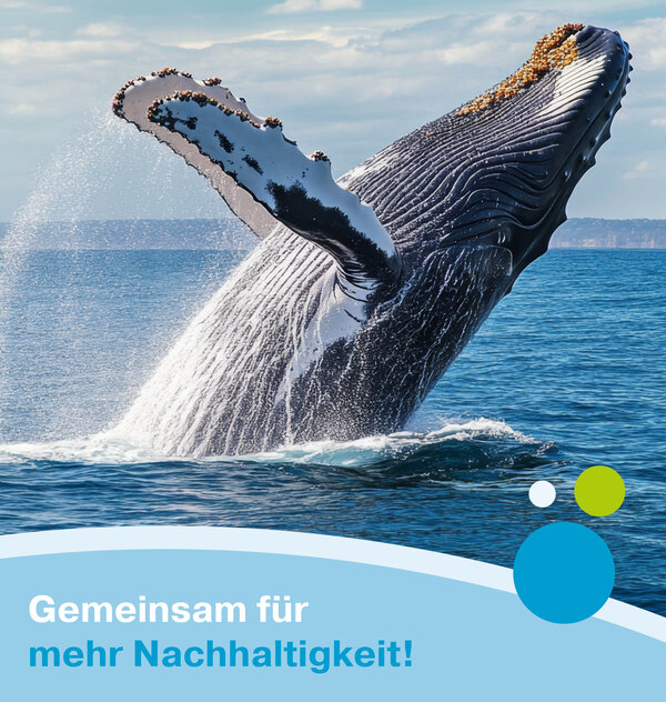 Bild mit Wal zur Nachhaltigkeitsaktion